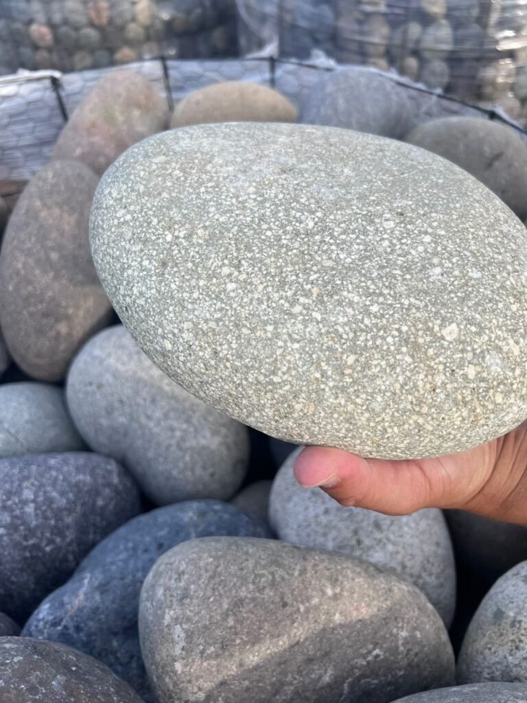 MEXICAN BEACH PEBBLE DINOSAUR EGG