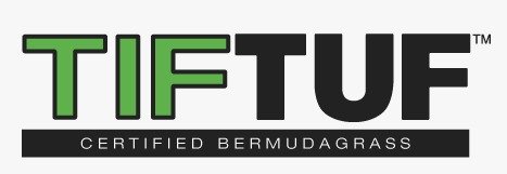 tiftuf